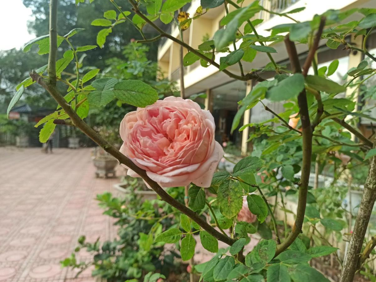 Aku House Villa Ao Vua Ba Vi Bagian luar foto